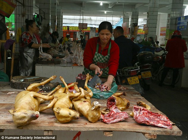 carne-de-cachorro-China