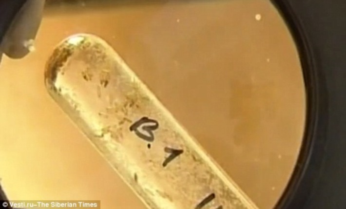 cientista-injeta-bacterias-em-busca-de-vida-eterna_02