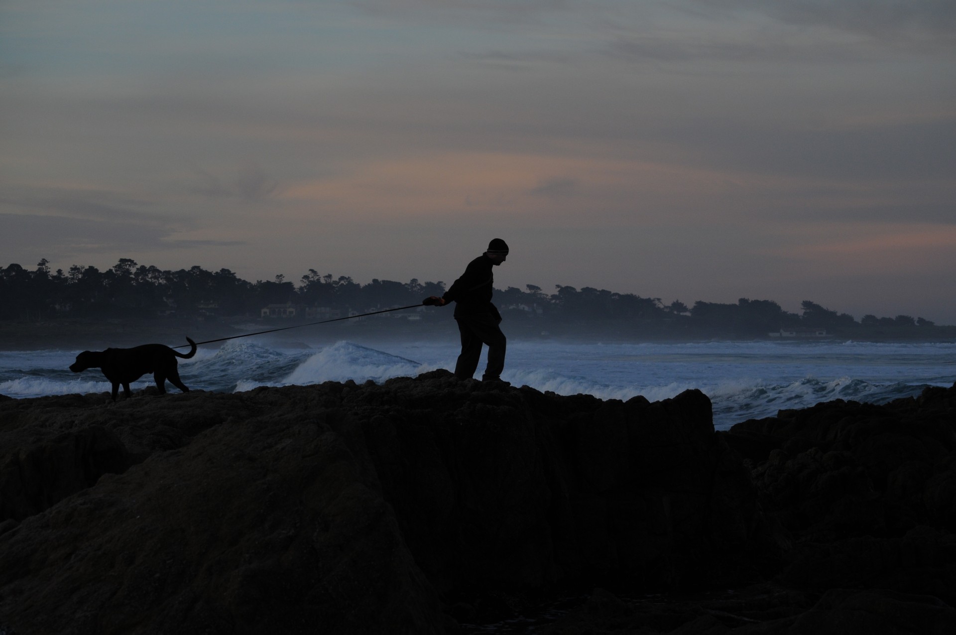 man-and-dog-at-the-sea