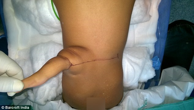 indiana-com-tres-pernas_02