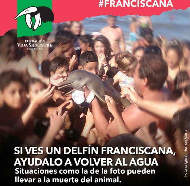 Depois da morte do animal, uma ONG lançou este cartaz para conscientizar as pessoas. 