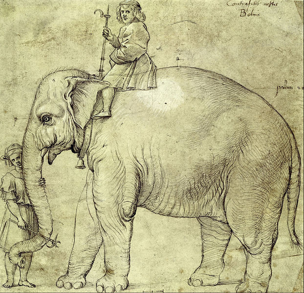 Papa-Leo-X-enterra-elefante-no-Vaticano