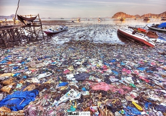 As costas oceânicas estão repletas de lixo, plásticos, roupas, botas, calçados em geral, brinquedos, embalagens de alimento, PETs, borrachas e uma infinidade de lixo de todos os tipos.