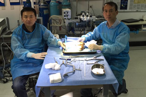 Dr. Ren Xiaoping, à direita. 
