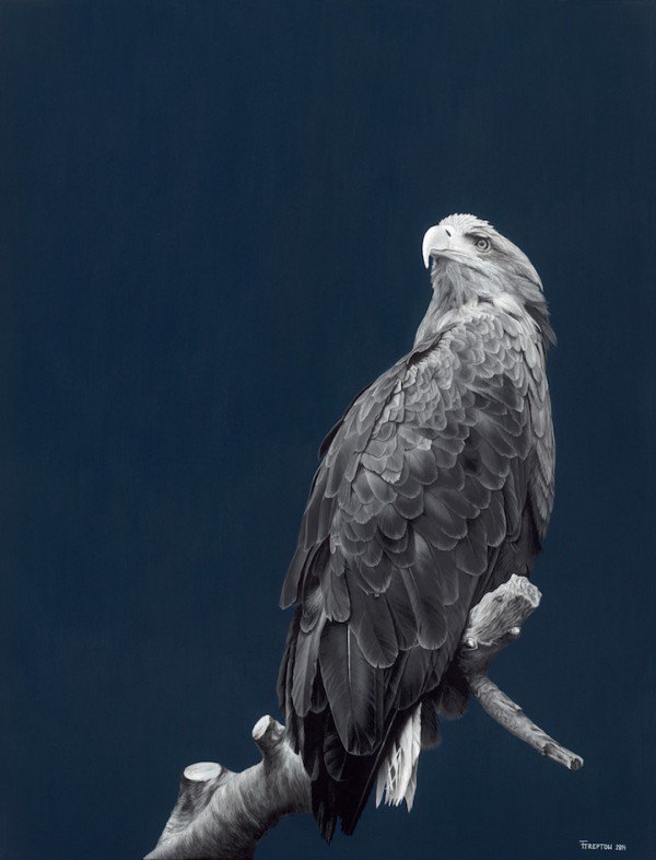 Franziska-Treptow-artista-ultrarrealista_02