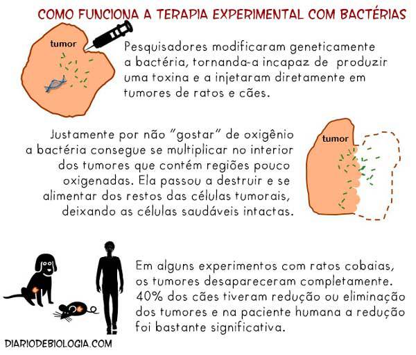 bacteria-que-come-tumor_01