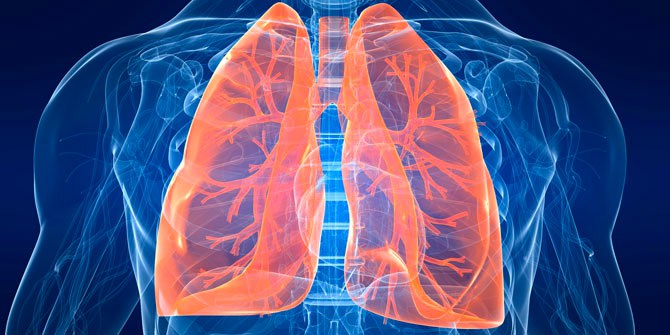 doenca-d-beijo-salgado_02