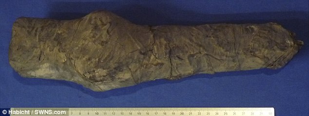 membros-mumificados-da-rainha-nefertari_01