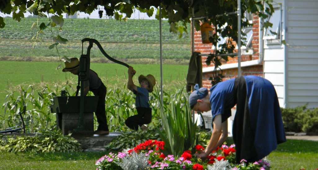 familia-amish