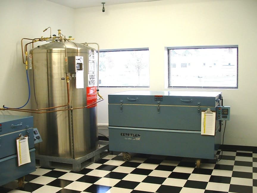 maneiras-futuristas-de-salvar-a-humanidade_13