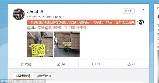 rato-e-amarrado-e-humilhado_2