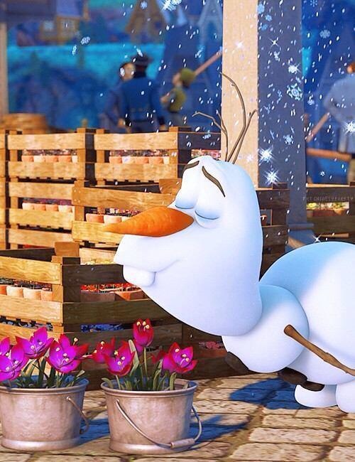 regras-misteriosas-da-disney_57