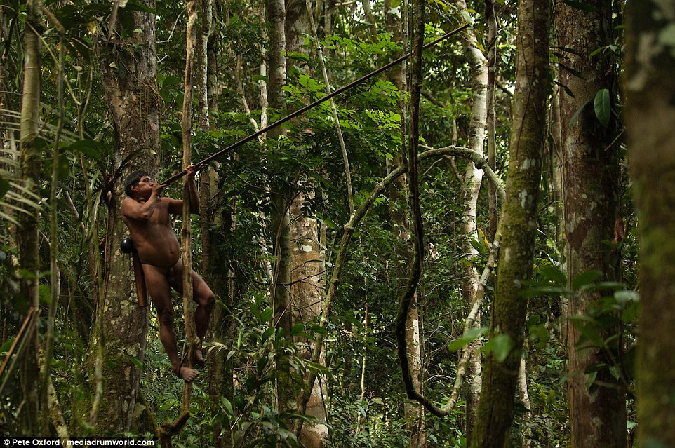 tribo-amazonica-caçadora-de-macacos_02
