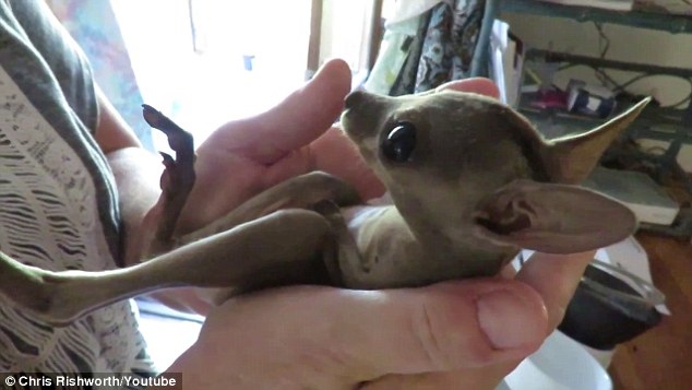 momento-de-partir-o-coracao_2