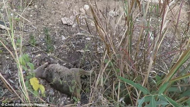 momento-de-partir-o-coracao_4