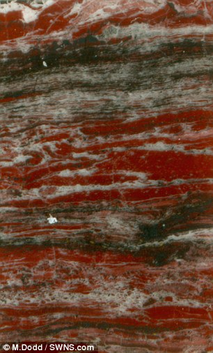 3DD5DEFD00000578-4268566-Layered_haematite_red_and_quartz_white_rock_found_in_chasms_in_t-a-1_1488382748630