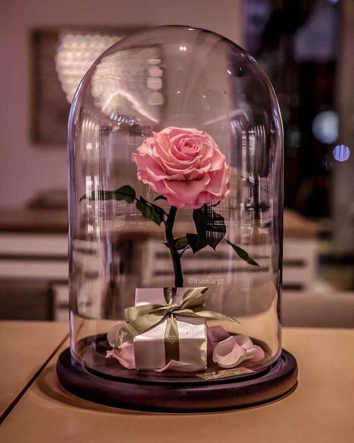 beauty-beast-inspired-3-years-forever-rose-london-16-58c652489109e__700