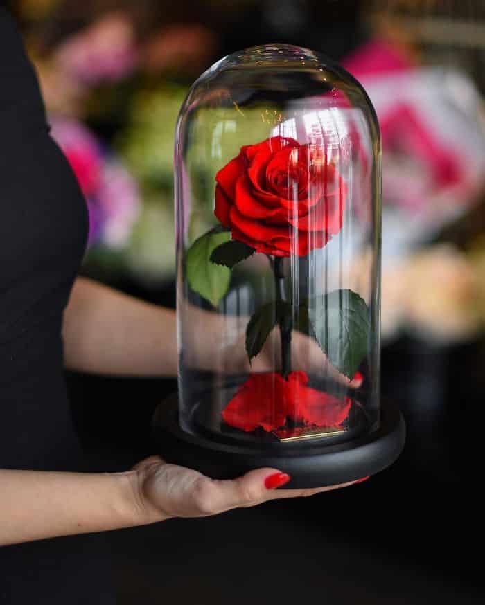 beauty-beast-inspired-3-years-forever-rose-london-6-58c6523251144__700