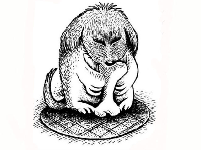 imagem-do-cachorro_2