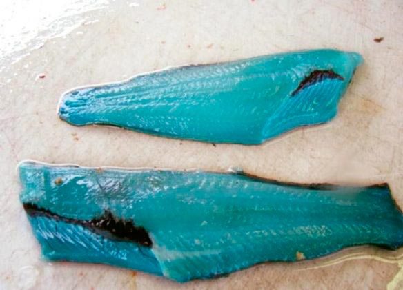 Peixe-de-carne-azul