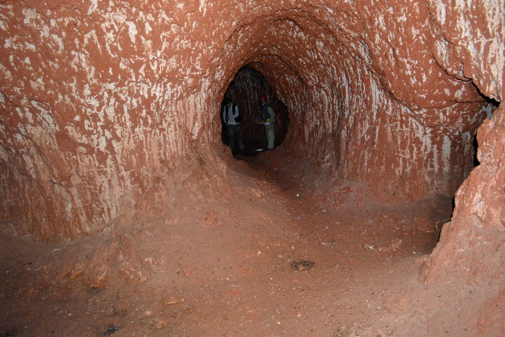 tunel-preguiça-gigante_02