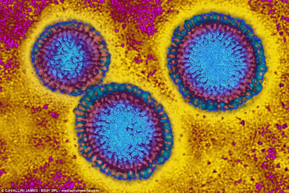 virus-07