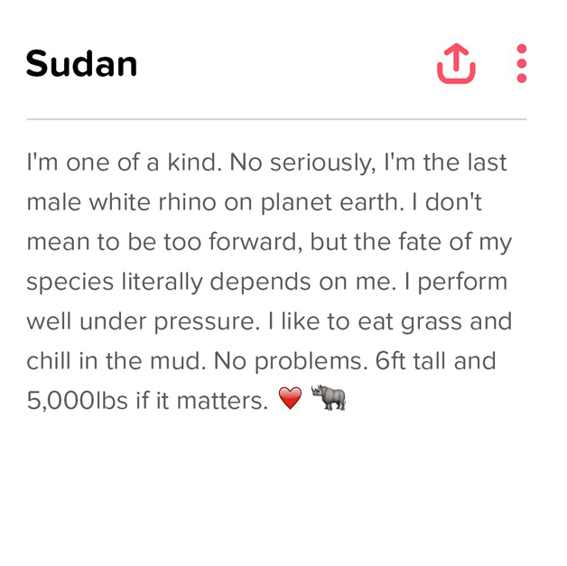 Sudan4