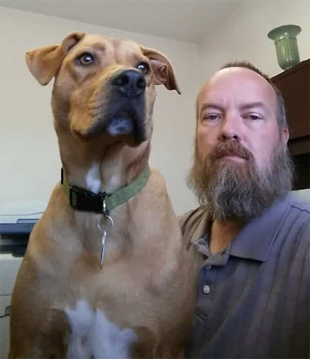 dog-reunites-owner-not-recognizes-13-58fdbb2c3af37__605