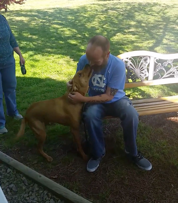 dog-reunites-owner-not-recognizes-2-58fdbb13e4e02__605