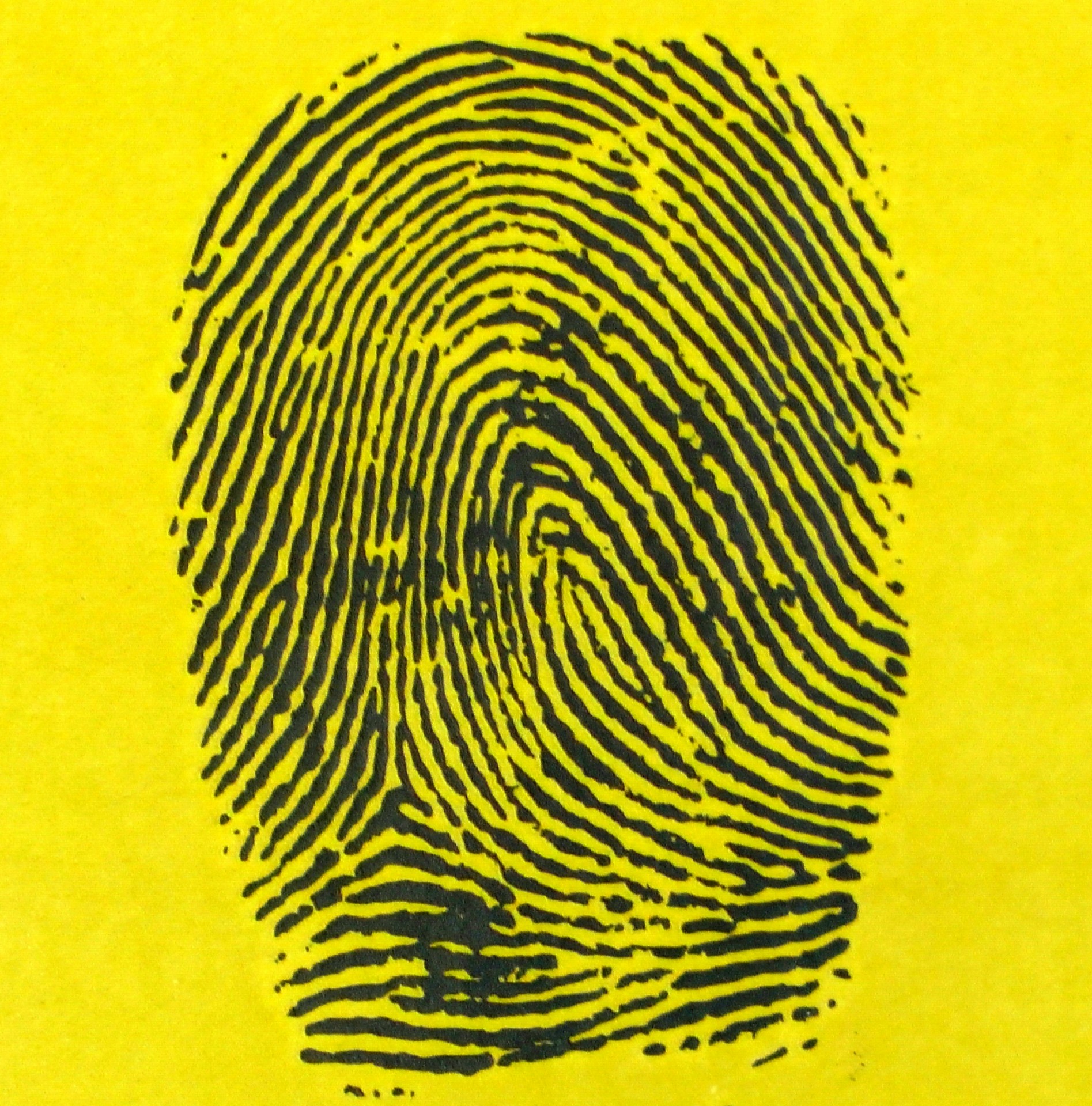 fingerprint-fingerprints
