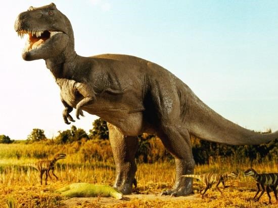 teorias-estranhas-sobre-a-extincao-dos-dinossauros-2