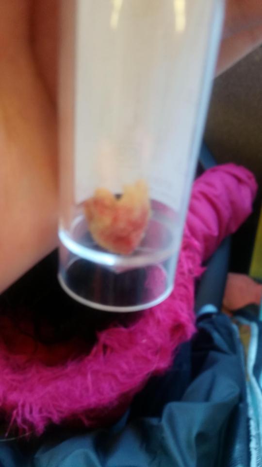 garota-pedaco-de-esponja_1