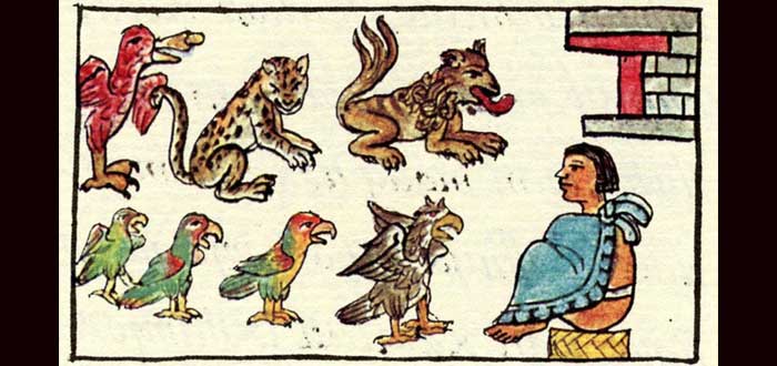 zoo-de-monctezuma-tapa_3