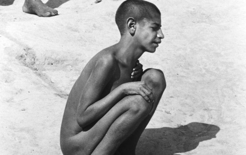 Holocausto Brasileiro