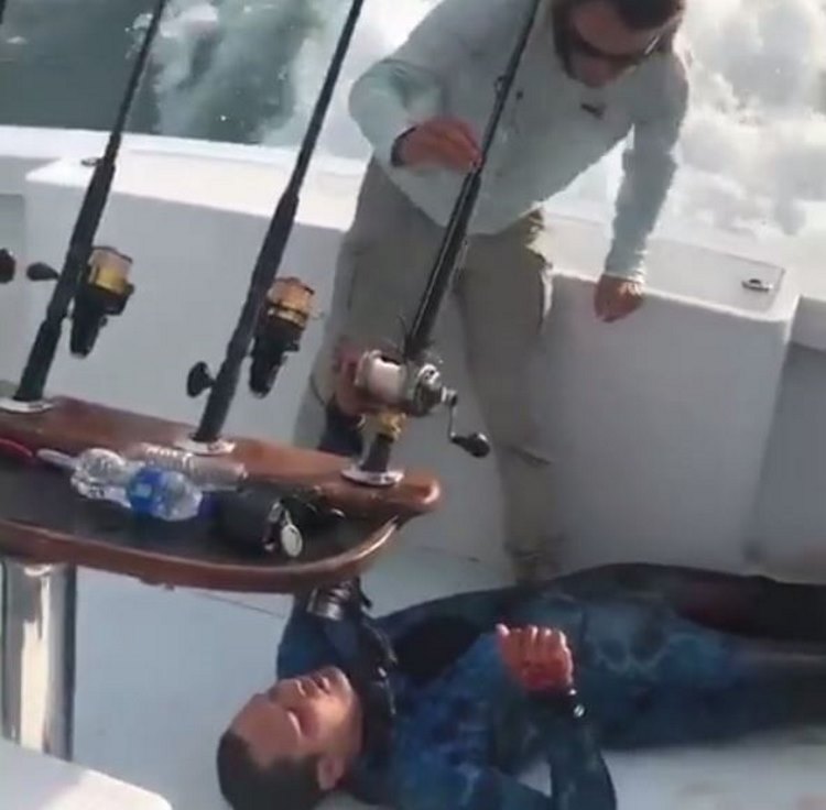 Vídeo: mergulhador é atacado por tubarão e pescadores o socorrem