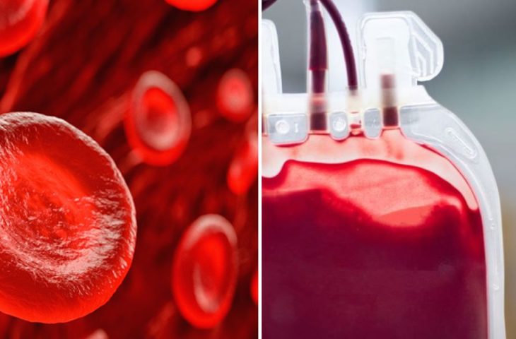 O que acontece com o sangue quando morremos?